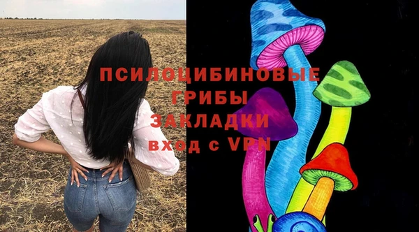 гидра Алексин