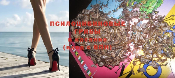 гидра Алексин