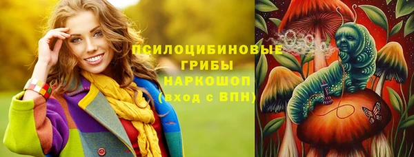 гидра Алексин