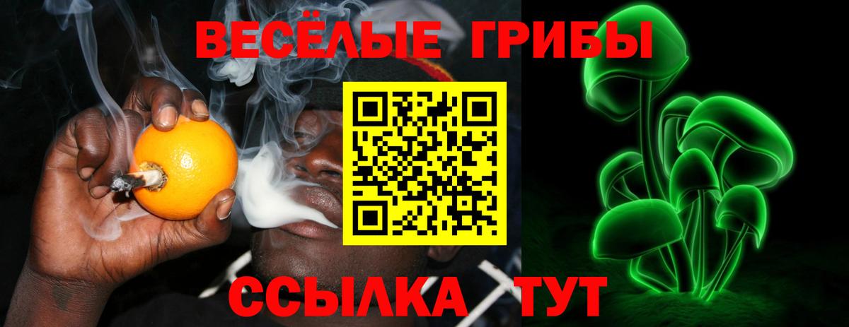 Псилоцибиновые грибы Psilocybe Йошкар-Ола