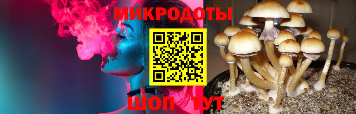 Галлюциногенные грибы Magic Shrooms  Вход с VPN  Псилоцибиновые грибы Magic Shrooms  Йошкар-Ола 